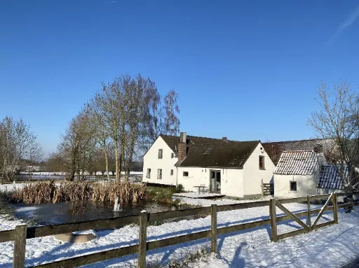 Yin Therapie & Lichaamswerk Februari (in de praktijk)